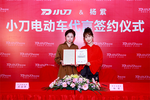 杨紫代言的品牌小刀电动车