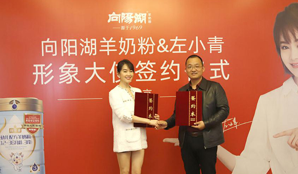 左小青代言的品牌向阳湖羊奶粉
